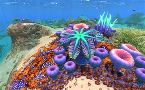 Steam Community :: Guide :: Subnautica: Flora & Fauna Research.